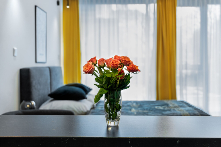 Others 4, Easy Rent Apartments - Silver 8, Lublin City