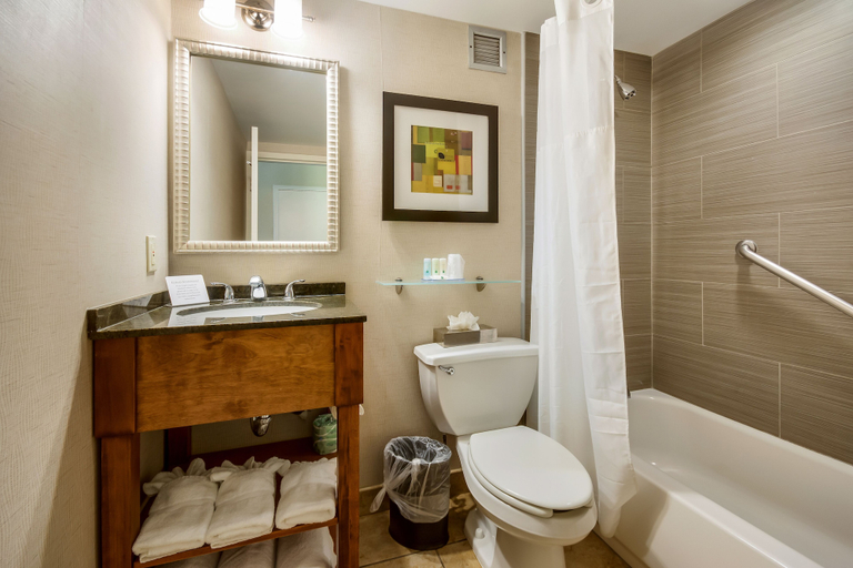 Bathroom 5, Chester Hotel & Conference Center, Chester