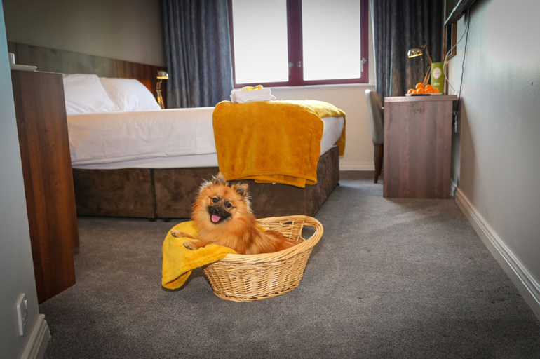 Bedroom 2, Creggan Court Hotel