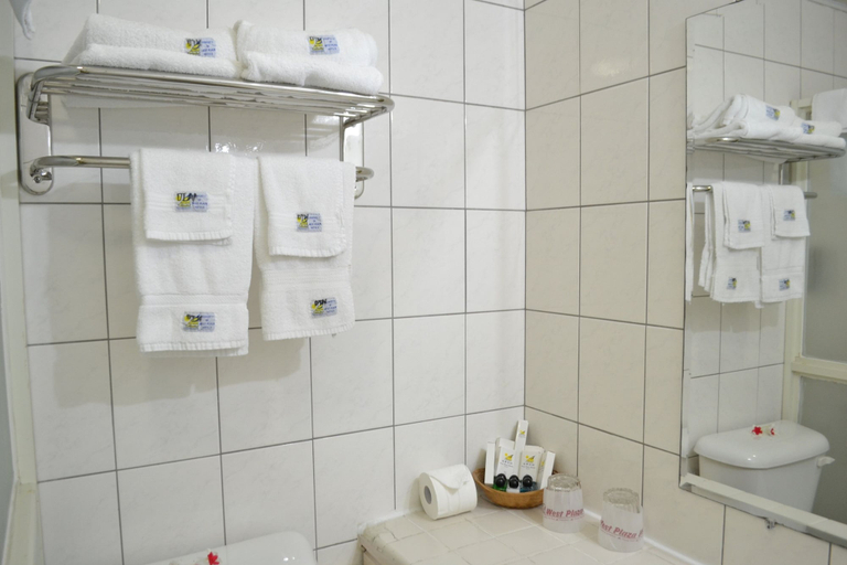 Bathroom, West Plaza Hotel Downtown