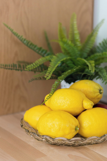 Food & Drinks, Centre Apartment Sniadeckich by Renters, Warsaw