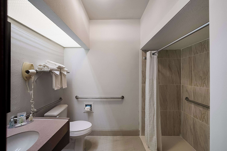 Bathroom 4, Quality Inn & Suites Irving DFW Airport South, Irving