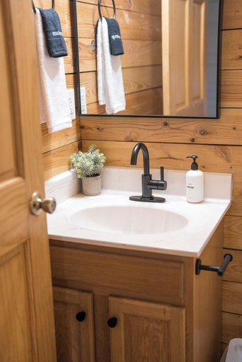 Bathroom 3, Red Feather Cabins 300, Watauga