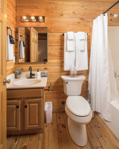 Bathroom 3, Red Feather Cabins 282, Watauga
