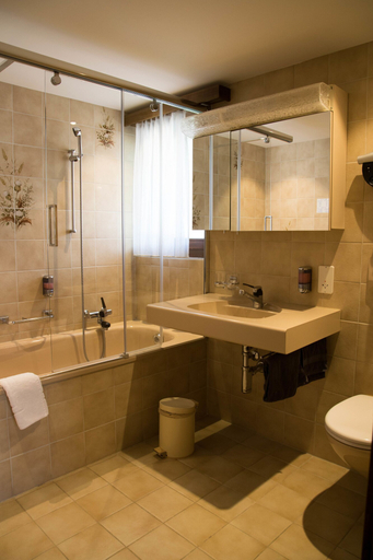 Bathroom 4, Europa Annex, Visp