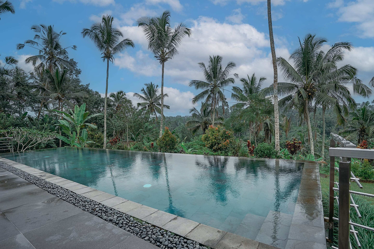 Sport & Beauty 5, Villa Themma Jungle, Gianyar
