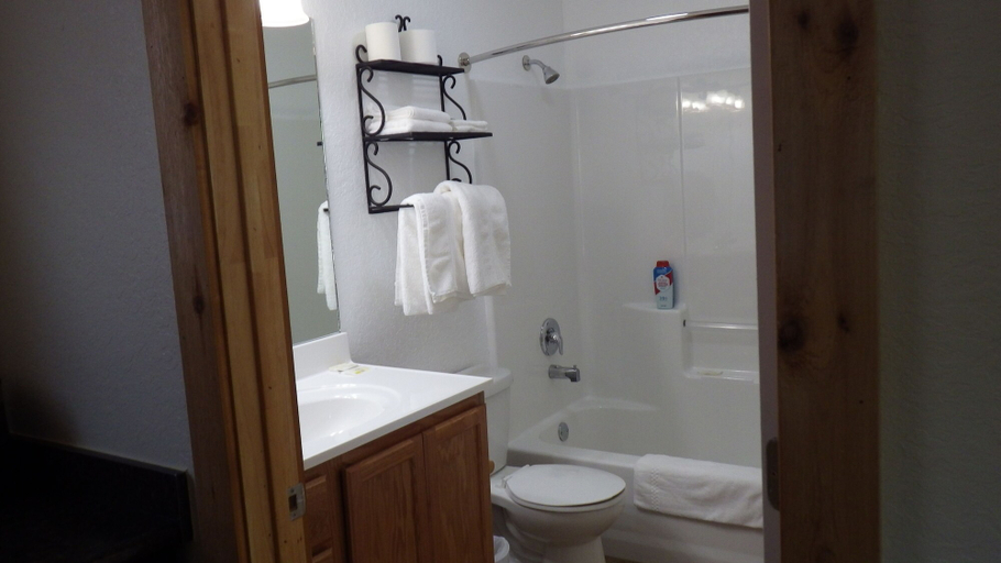 Bathroom, Brush Country Lodge, Atascosa