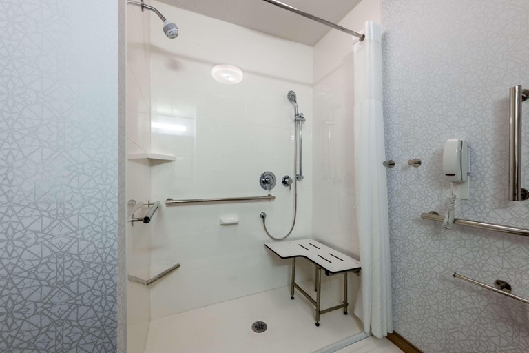 Bathroom 4, Hampton Inn St. Robert/Ft. Leonard Wood, Pulaski