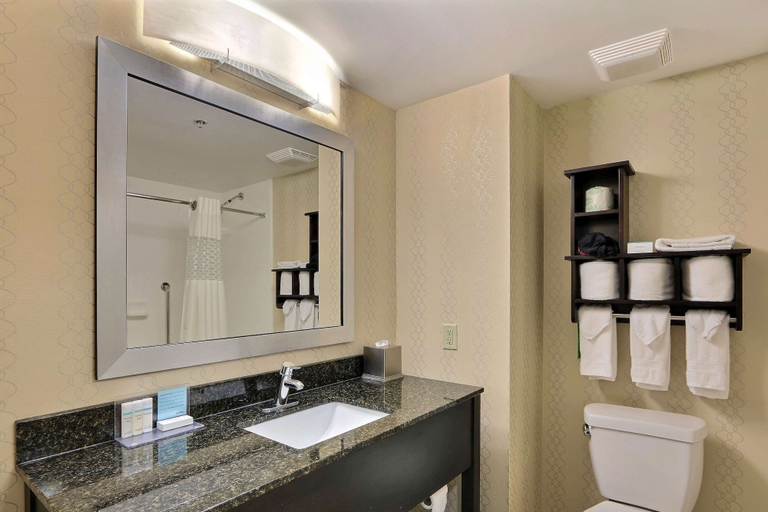 Bathroom 5, Hampton Inn Savannah-I-95/Richmond Hill, Bryan