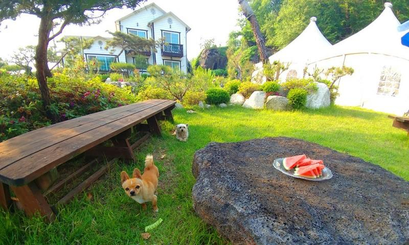 2, Cheorwon Bawesaem Pension, Cheorwon