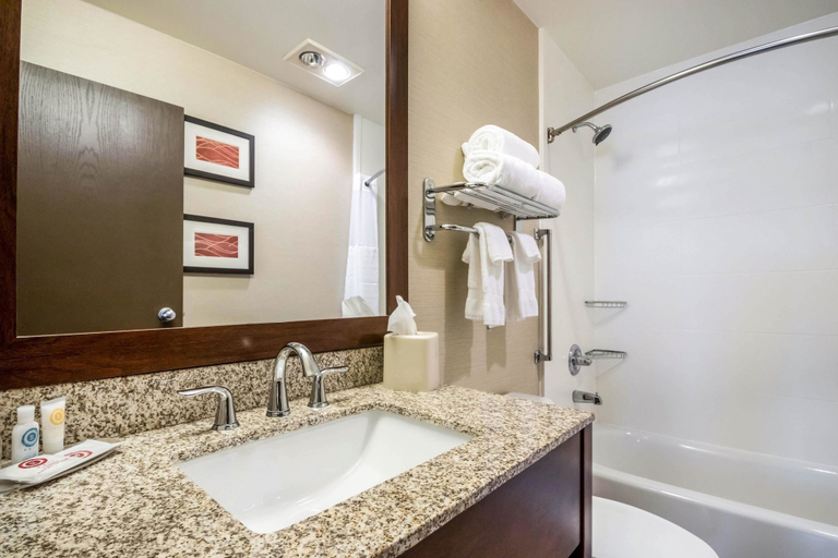 Bathroom 4, Comfort Inn Ottawa Starved Rock Area, La Salle