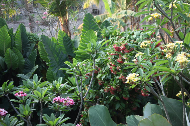 Scenery 10