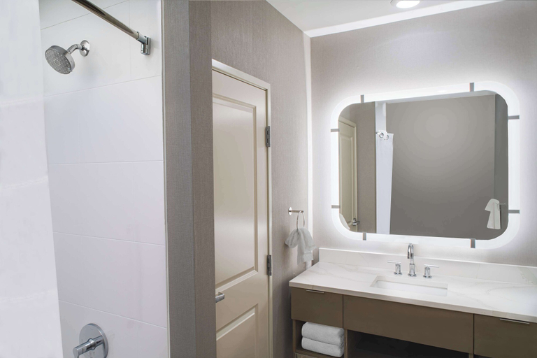 Bathroom 4, Homewood Suites by Hilton Ann Arbor, Washtenaw