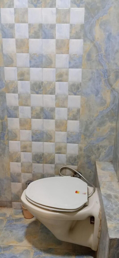 Bathroom 2, Hotel Maa Ganga Palace, Bhopal