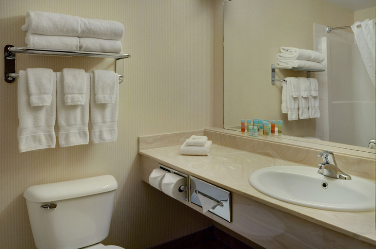 Bathroom 4, Pomeroy Inn & Suites Fort St. John, Peace River