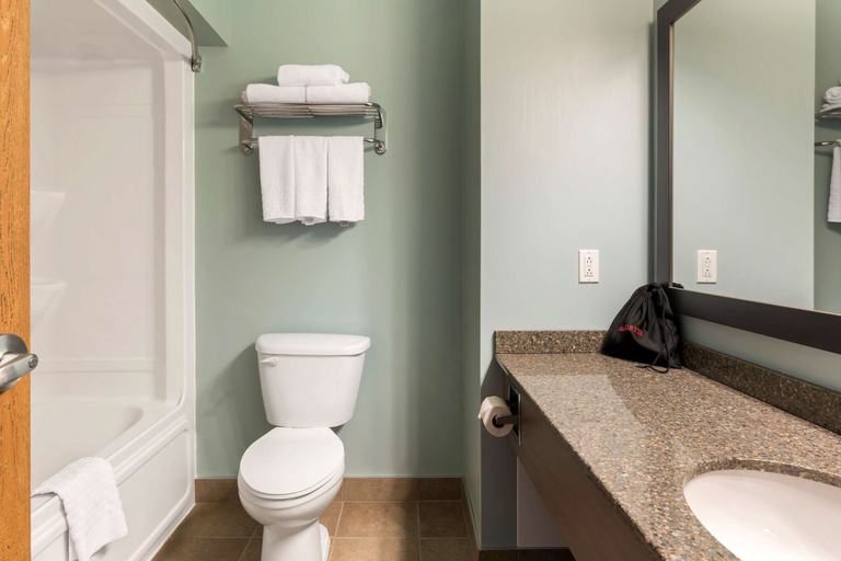 Bathroom 5, Best Western Plus Liverpool Hotel & Conference Centre, Queens