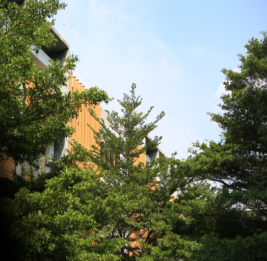Exterior & Views 19