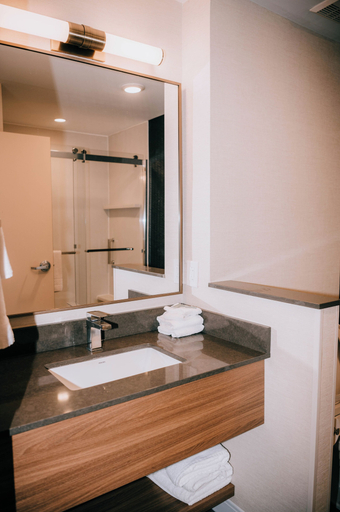 Bathroom 4, Fairfield Inn & Suites Lexington Georgetown, Scott