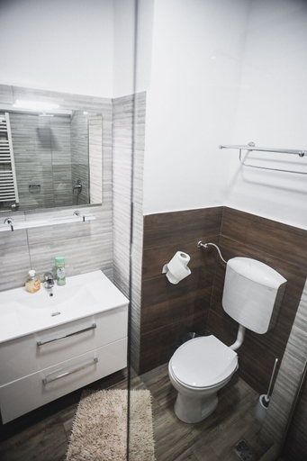 Bathroom 3, Petrosani Camere de Inchiriat - Hotel Petroshani srl, Petrosani