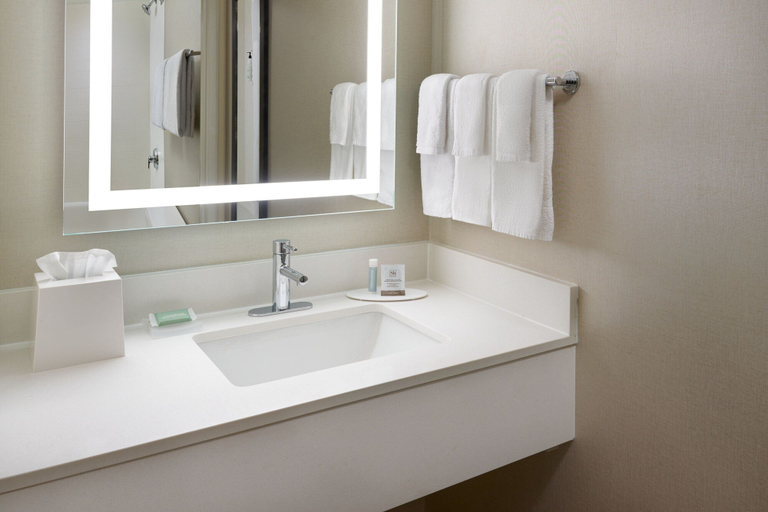 Bathroom 5, SpringHill Suites by Marriott Charlotte Univ. Research Park, Mecklenburg