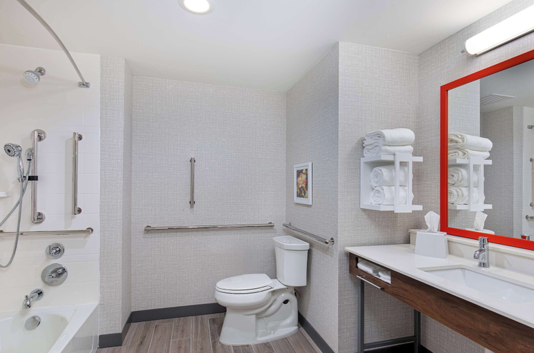 Bathroom 4, Hampton Inn Albertville, Marshall