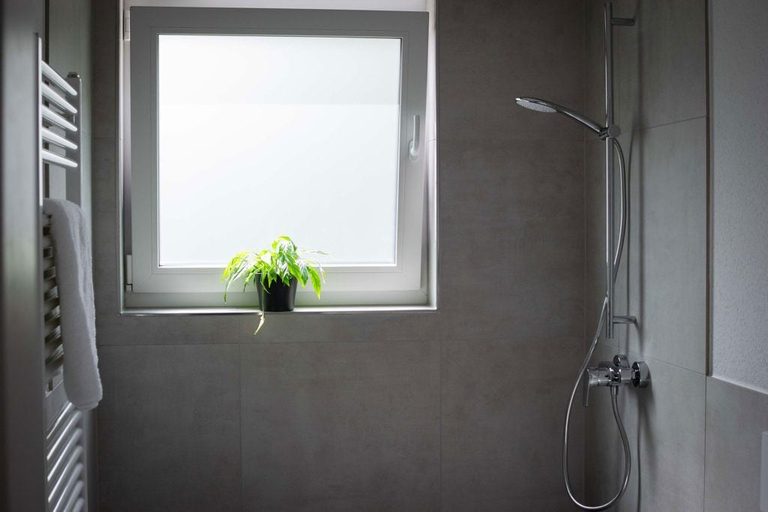 Bathroom, Alter Behring-Gutshof, Marburg-Biedenkopf