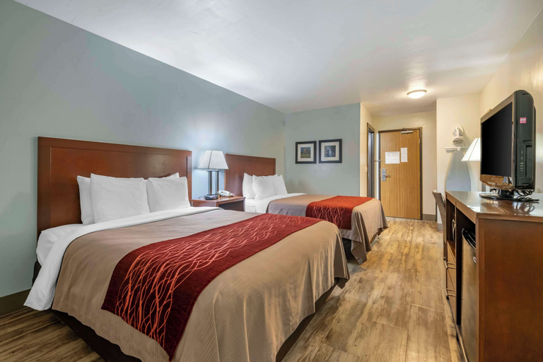 Bedroom 4, SureStay Plus Hotel by Best Western Buffalo, Johnson