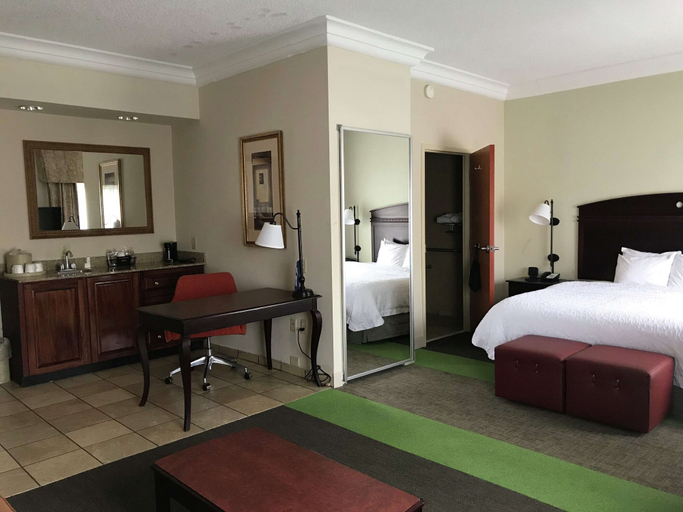 Bedroom 1, Hampton Inn Vidalia, Toombs