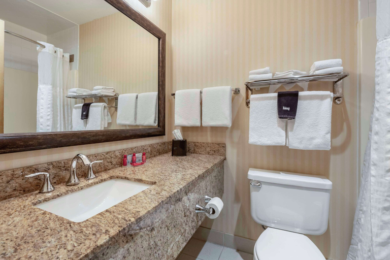 Bathroom 5, SureStay Plus Hotel by Best Western Buffalo, Johnson