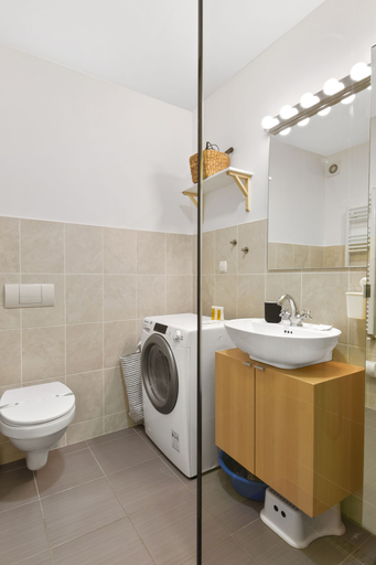 Bathroom 4, One Bedroom with Mountain View, Sinaia