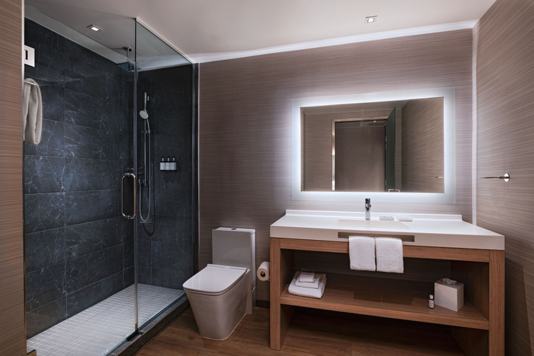 Bathroom 4, AC Hotels by Marriott Houston Downtown, Houston