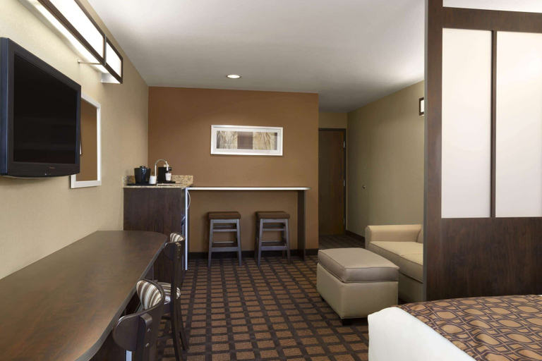Others 4, Microtel Inn & Suites Odessa TX, Ector