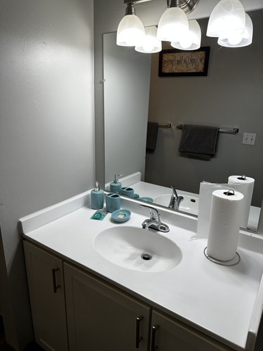Bathroom 2, 2 BR con patio por el centro comercial, Hennepin