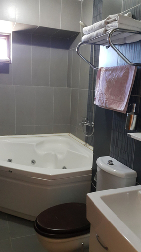 Bathroom, Odunluk Tas Konak Otel, Ezine