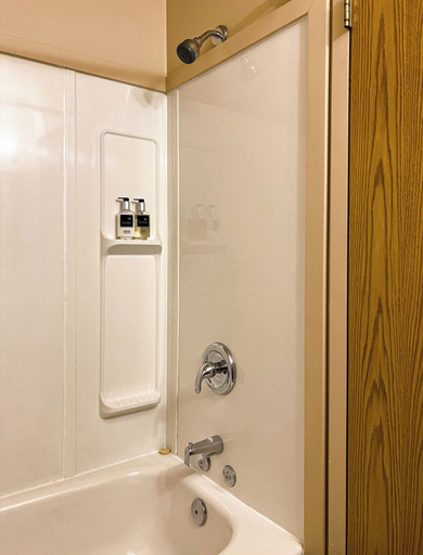 Bathroom 4, The Downtown, a Coast Hotel, Yukon