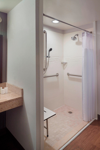 Bathroom 4, Courtyard Atlanta Decatur Downtown/Emory, DeKalb