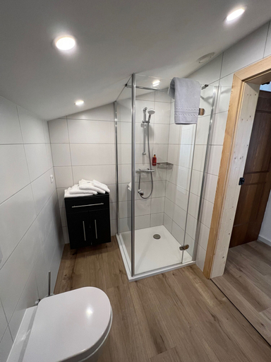 Bathroom 4, Hotel Berghof, Spittal an der Drau