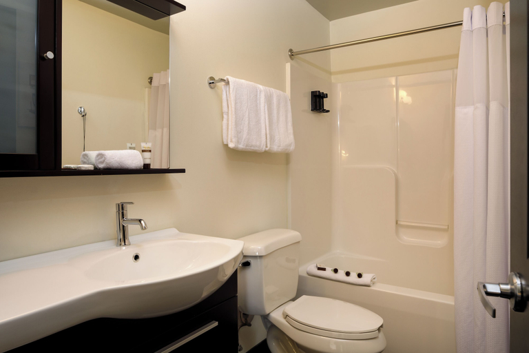 Bathroom 5, Hotel Clemons, Hamilton