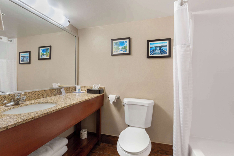 Bathroom 4, Comfort Inn & Suites Milford, Kent