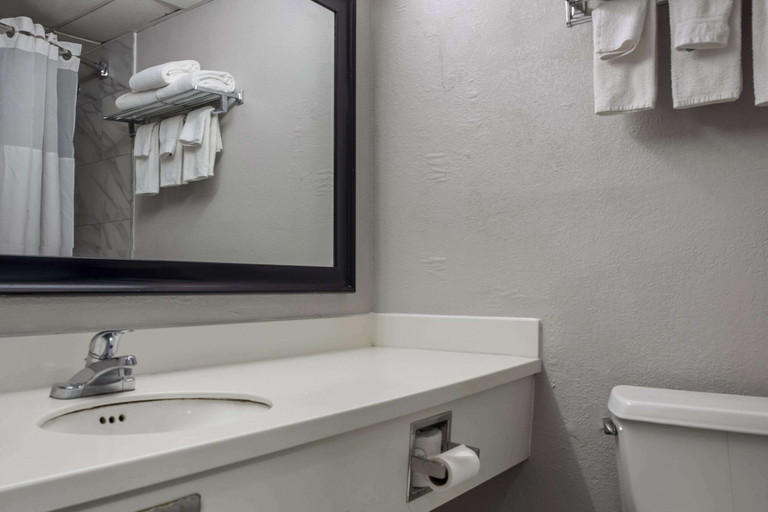 Bathroom 4, Quality Inn Toledo Westgate, Lucas