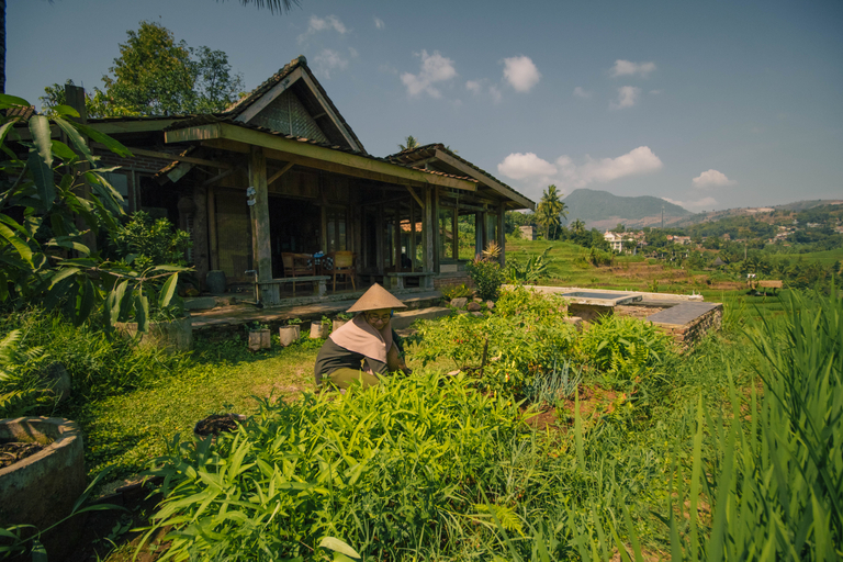 Others 5, Villa Cetok, Bandung