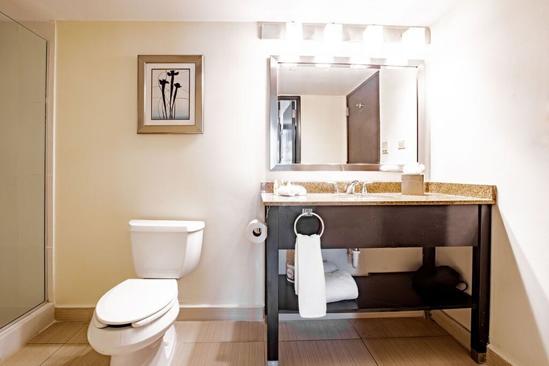 Bathroom 3, Studio Coliving, Panamá