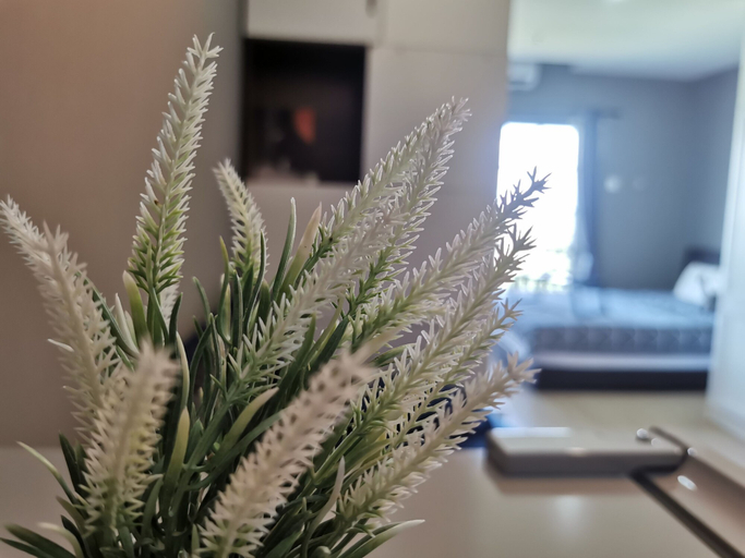 Others 5, Kampar Champs Elysees 4pax Homestay, Kampar