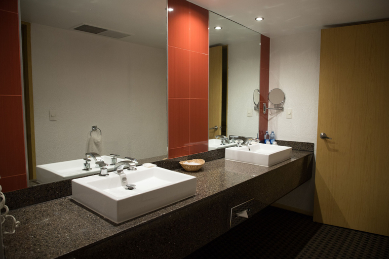 Bathroom 5, Sevilla Palace Hotel, Mexico City