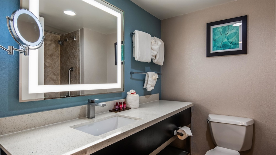 Bathroom 4, Delta Hotels by Marriott Jacksonville Deerwood, Duval