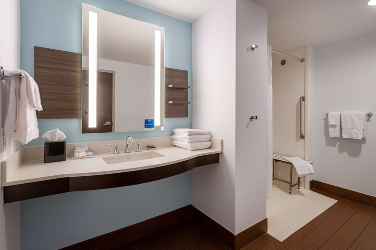 Bathroom 4, Hilton Garden Inn Roanoke, Roanoke