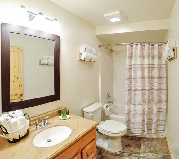Bathroom 4, Paddle Ridge, Flathead