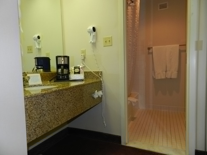 Bathroom 3, Ashmore Inn and Suites, Lubbock