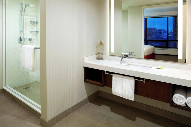 Bathroom 3, Delta Hotels by Marriott Ottawa City Centre, Ottawa