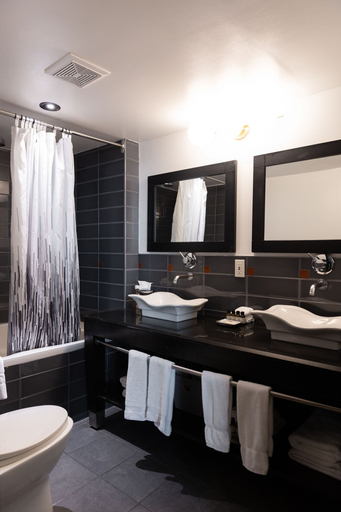 Bathroom 5, Lofts du Vieux-Port, Montréal